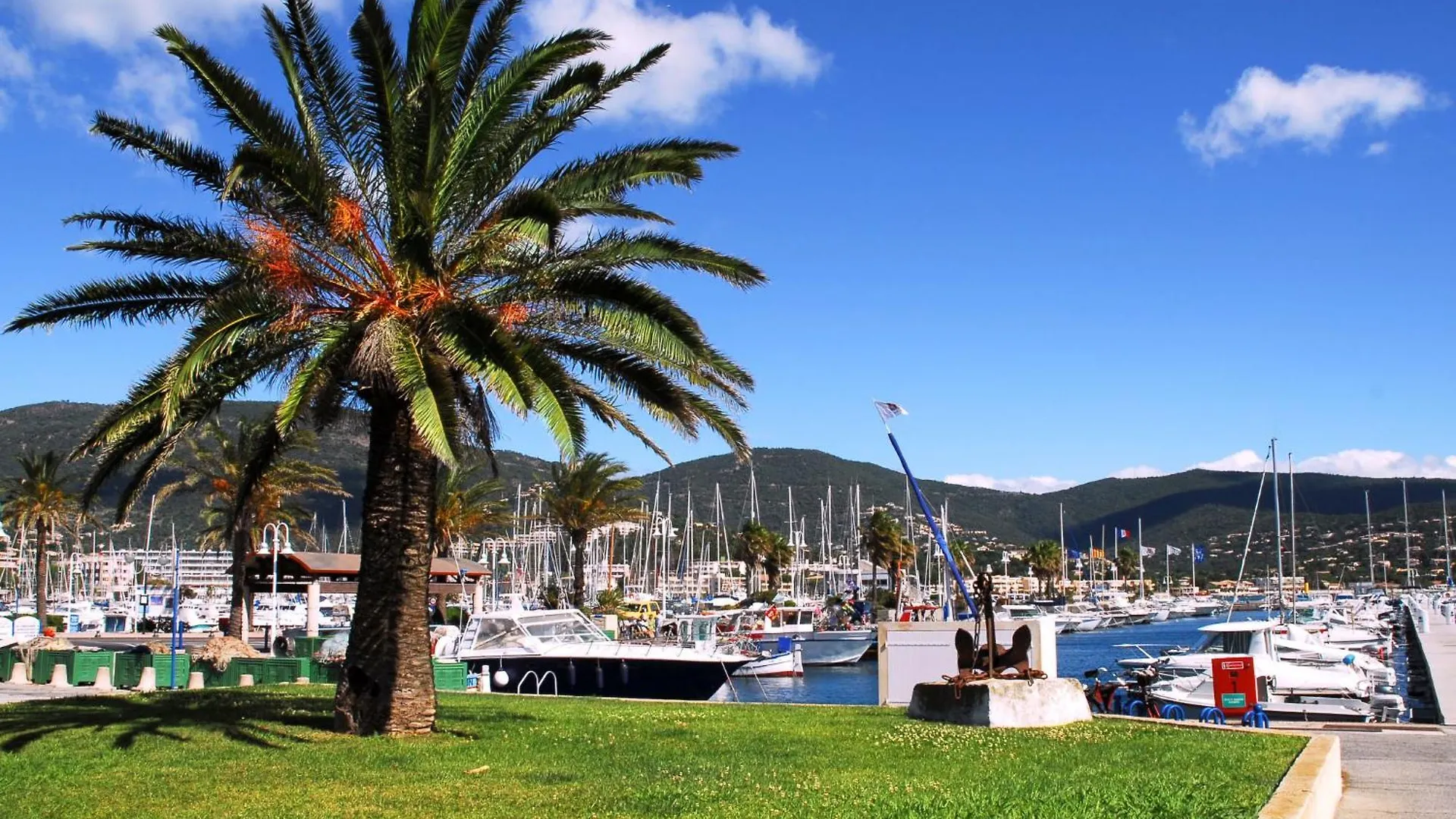 Apartment Cap Marine-8 By Interhome Cavalaire-sur-Mer France